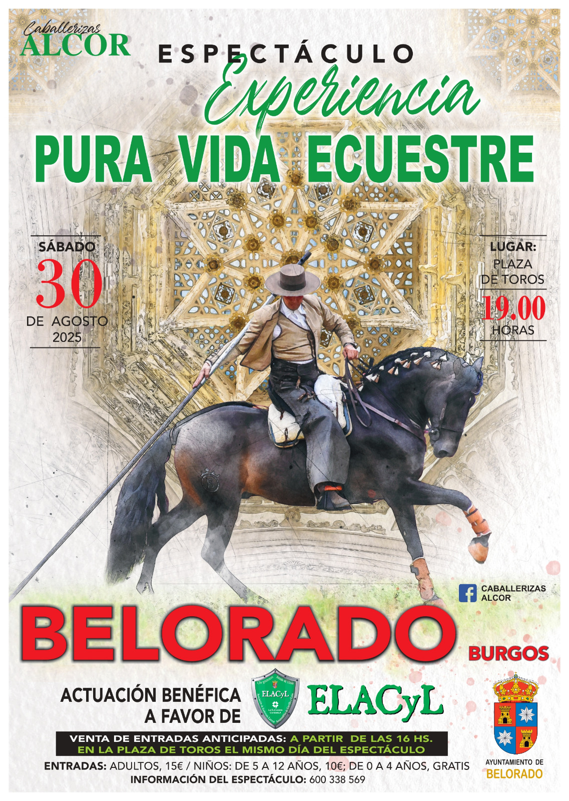 CABALLOS